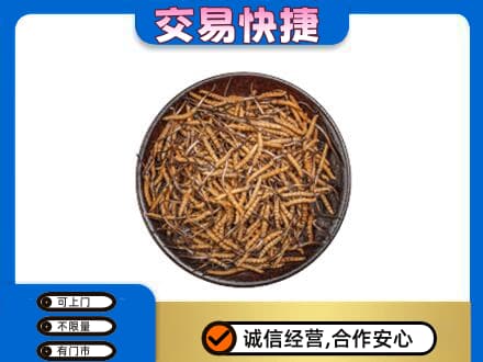 井研县礼品回收虫草.jpg
